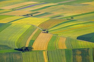 Read more about the article Oregon’s Role in AgTech Advancements and Innovation