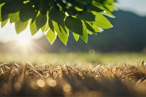 Read more about the article How To Get Started in Sustainable Farming