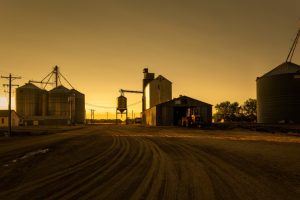 Read more about the article How Farmers Use Loans To Launch Thriving Operations