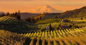 Read more about the article How Oregon Farmers Can Develop Resilience Strategies