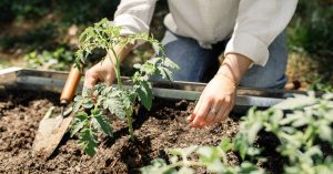 Read more about the article A Guide to Financing and Starting a Hobby Farm