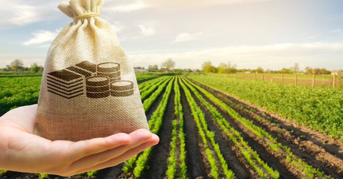 A hand holding a canvas bag labeled with bills and coins. Behind the bag is a field containing rows of crops.