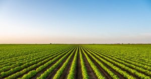 Read more about the article The Importance of Debt Management Strategies for Farmers