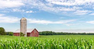 Read more about the article What To Expect During an Agricultural Land Appraisal