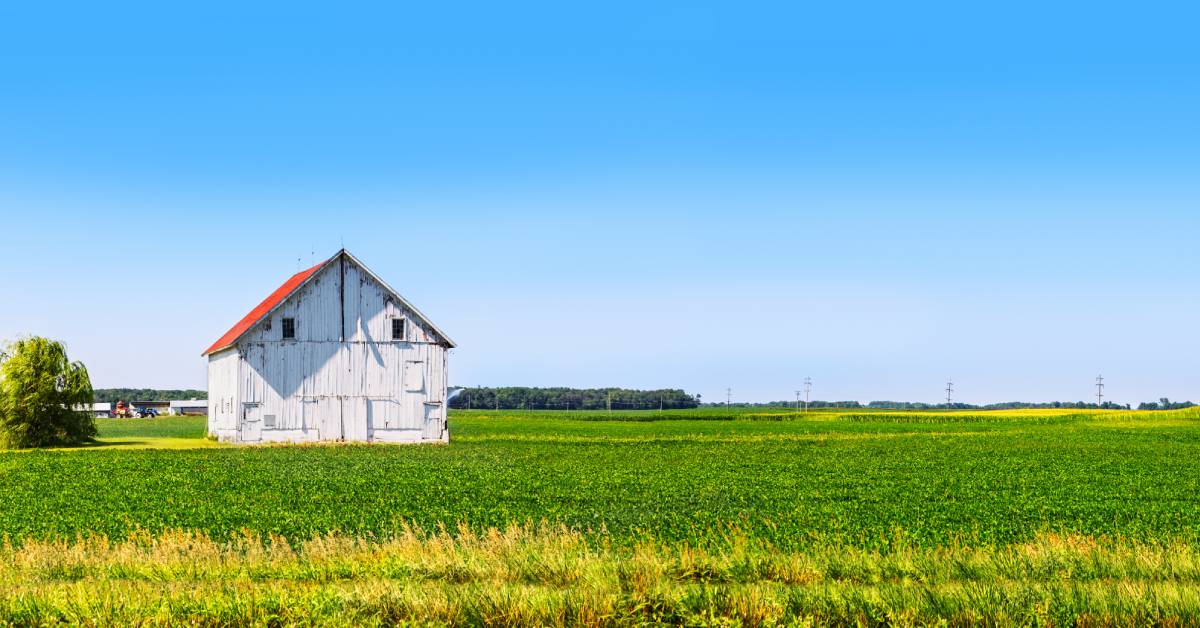 On a large swath of farmland, a small barn sits by itself. The roof is red, and the siding is white with some windows.