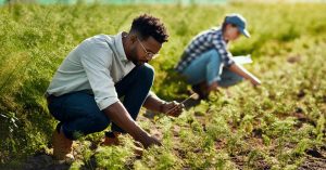Read more about the article A Look at How Farming Will Change in 2025