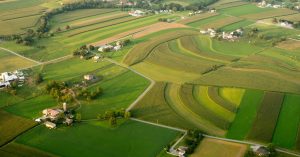 Read more about the article Comparing Short-Term vs. Long-Term Farm Loans