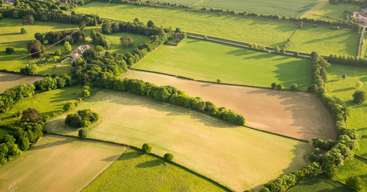 Multiple plots of land sitting next to each other with groups of trees and bushes marking the boundary of each plot.