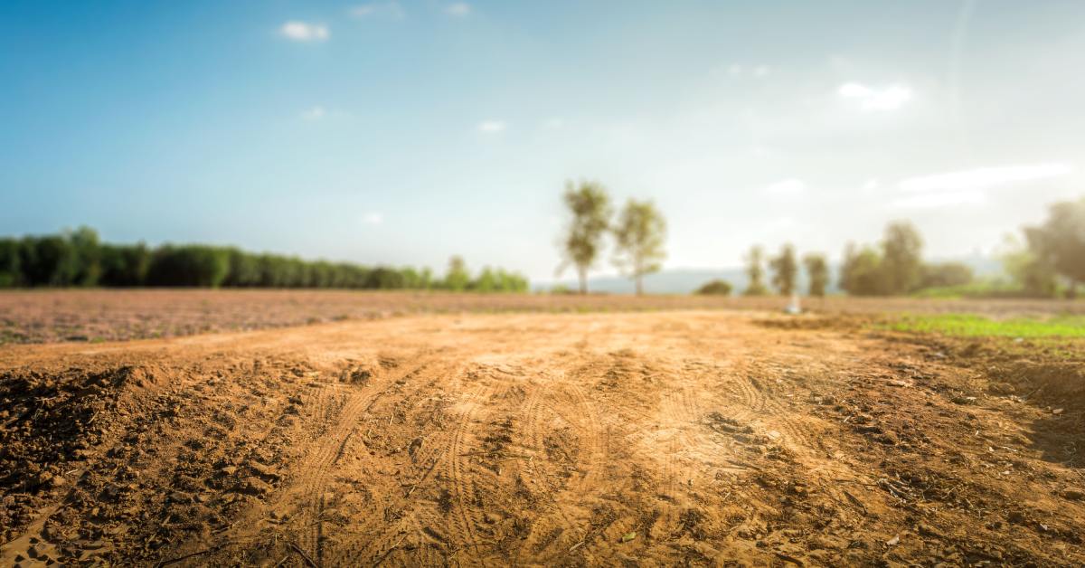 A large area of dirt with some tire marks in it and different sized groups of trees in the distance.