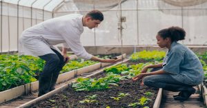 Read more about the article The Pros and Cons of Sustainable Farming