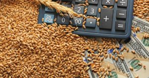 Read more about the article How To Choose Between Different Agricultural Loan Lenders