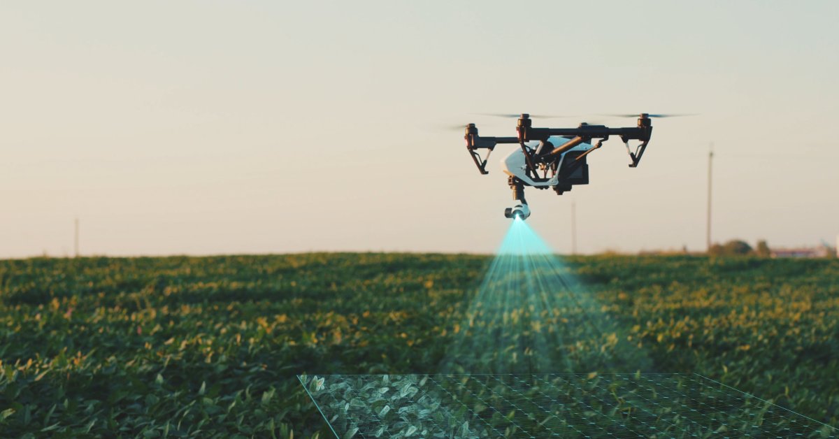 A remote drone flying low across a large field of crops. The drone is scanning the crops as it flies over.