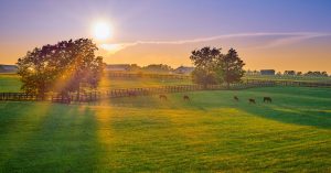 Read more about the article Agricultural Economic Update: Rising Treasury Yields Keep Financing Costs in Focus